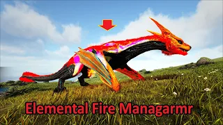 ARK: Eternal (Mới) #2 - Mình với Bảo bắt được "thánh báo" Elemental Fire Managarmr, hơi bị ngon 😆
