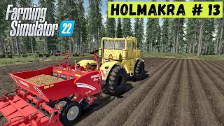 FS 22 - Посадил КАРТОФЕЛЬ.  Первые Соседи.  Лесоруб в Глуши  HOLMAKRA # 13