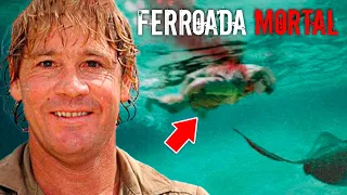 A TERRÍVEL Morte de Steve Irwin “ O Caçador de Crocodilos “ I História Completa