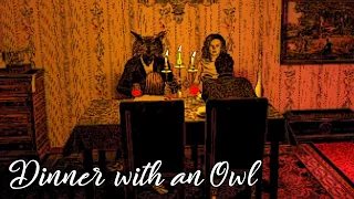 Dinner with an Owl - Stuck Forever with a Charismatic Owl that Appreciates Dinner