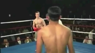 Boxers vs  Referees Part 2