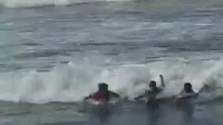 kelly slater's shark attack