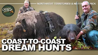 Hunting Muskox in Northwest Territories and Black Bear in New Brunswick | Canada in the Rough