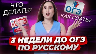 3 НЕДЕЛИ ДО ОГЭ | Что делать? | Русский язык ОГЭ