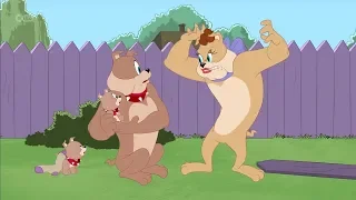 The Tom And Jerry Show - Not My Tyke