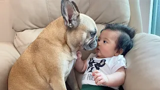 My Dogs Fall In Love With Our Baby | The Full Story