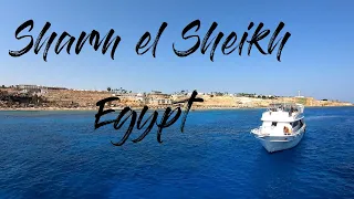 Отдых в Sharm El Sheikh