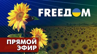 Телевизионный проект FREEДОМ | Вечер 23.09.2022, 17:00