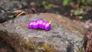 wind-up toy caterpillar chase