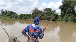 mancing ikan nila babon di sungai way gambas