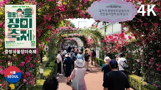 2024 Jungnang Seoul Rose Festival Walk tour 중랑서울장미축제 , 중랑장미공원