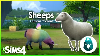 Sheeps for Cottage Living