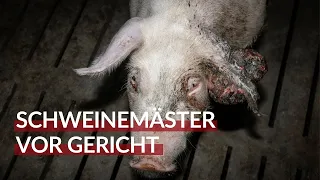 Schweinemäster vor Gericht - Demo am 31.1.2023