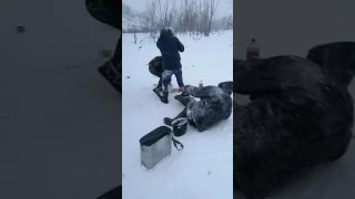 Рыбаки не поделили улов и передрались