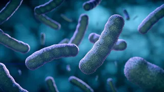bacteria and antibiotic system medical animation subtitle available #antibiotic #bacteria