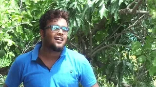 O Tomari Cholar Pothey ( Asha Bhosle, RD Burman ) Cover By Kounish Samaddar