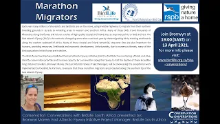 Conservation Conversations: Marathon Migrators - Bronwyn Maree (13Apr21)