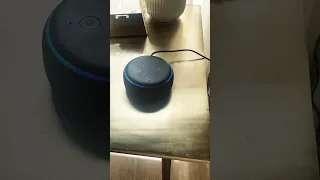 Alexa blue’s clues alarm
