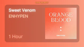 [1 HOUR] ENHYPEN - Sweet Venom