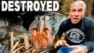My Armadillo Destroyed It's Cage!