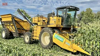 OXBO 8430 Sweet Corn Harvester