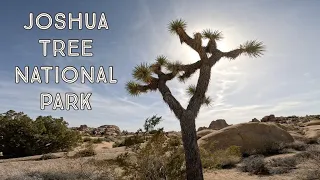 Joshua Tree National Park - Hidden Valley - Skull Rock - Arch Rock