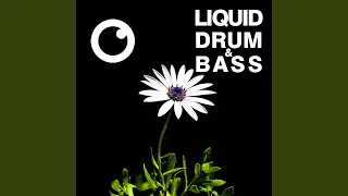 Liquid Drum & Bass Sessions 2020 Vol 35