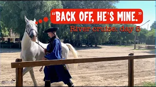 Hungarian Cowboys, Whips, and Salami in the Puszta - River Cruise Excursion - Rousee Prestige