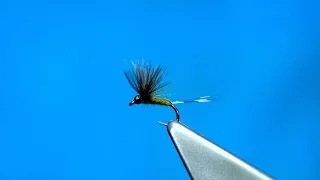 Tying a Small CDC Dun (Dry Fly) with Davie McPhail