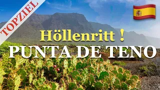 Grandioses Teneriffa: Punta de Teno + Nordküste