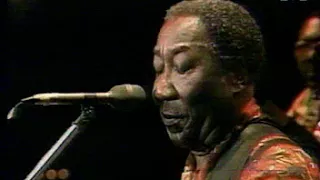 Muddy Waters presents Johnny Winter & Buddy Miles   live at chicago blues festival   1991