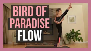 1 Hour Bird of Paradise Yoga - Vinyasa Flow for Shoulders & Hamstrings