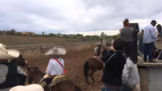 Rodeo en La Colonia del Vergel- 19 de Marzo 2015 Potrero de Gallegos