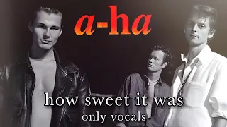 a-ha - How Sweet it Was (Only Vocals)