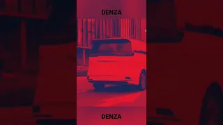 DENZA D9