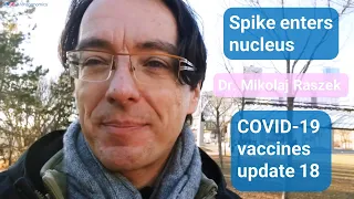 Spike protein inside nucleus enhancing DNA damage? - COVID-19 mRNA vaccines update 18