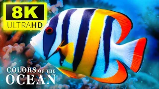 The Best 4K Aquarium - The Colors of the Ocean, The Sound Of Nature #2