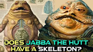 Jabba The Hutt Anatomy - Can He Regenerate Body Parts? How Powerful Is This Monstrous Creature?