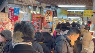 Otaru Fish Market - Day 22 - Japan Travel 2023 [ASMR - CAPTIONS ON] | CLUB PROFESSIONALS