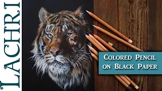 Drawing a Tiger in Colored Pencil on Black Paper - Tips w/ Lachri