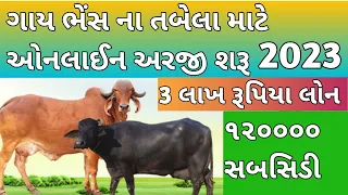 Gay Bhes Na Tabela Mate Loan 2023 / ગાય ભેંસ ના તબેલા માટે લોન 2023 / PASHUPALAN LOAN 2023 / TABELA