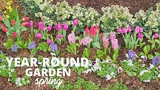 How to Plant a Year-Round Garden | HGTV