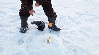 ЗАКРЫЛИ СЕЗОН ЗИМНЕЙ РЫБАЛКИ 2020! НЕ УСПЕЛИ УСТАНОВИТЬ ПАЛАТКИ ВОТ И ПЕРВЫЙ ПОДЪЁМ! ЩУКА! ГОРБАЧИ!