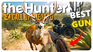 The BEST (and laggiest) GUN in the GAME! | theHunter: Call of the Wild
