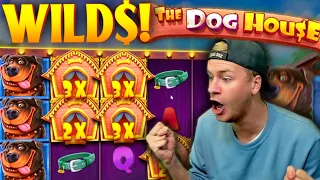 Huge Win on The Dog House Slot!