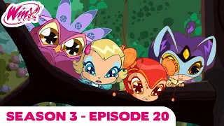 Winx Club - Season 3 Episode 20 - The Pixies' Charge - [FULL EPISODE]