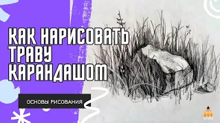 Как правильно нарисовать траву простым карандашом