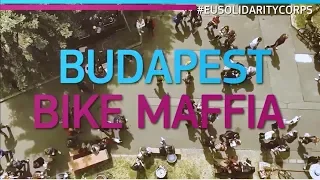 EU Solidarity Corps - a project in Hungary