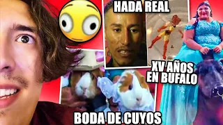 Viendo noticias chistosas de internet jaja