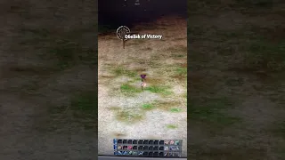 Lineage 2 Damage